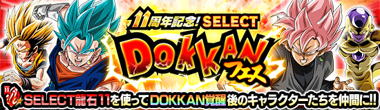 セレクトドッカンフェス