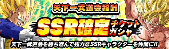 天下一第30回通常SSR確定チケットガチャ