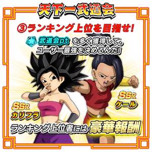 第33回天下一武道会